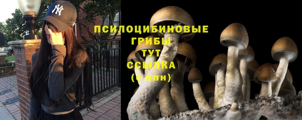 амф Верхнеуральск