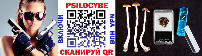 наркошоп  Димитровград  Галлюциногенные грибы ЛСД 