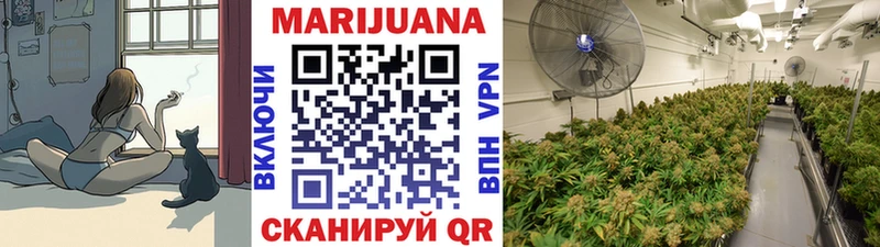 Бошки марихуана Amnesia  Димитровград 